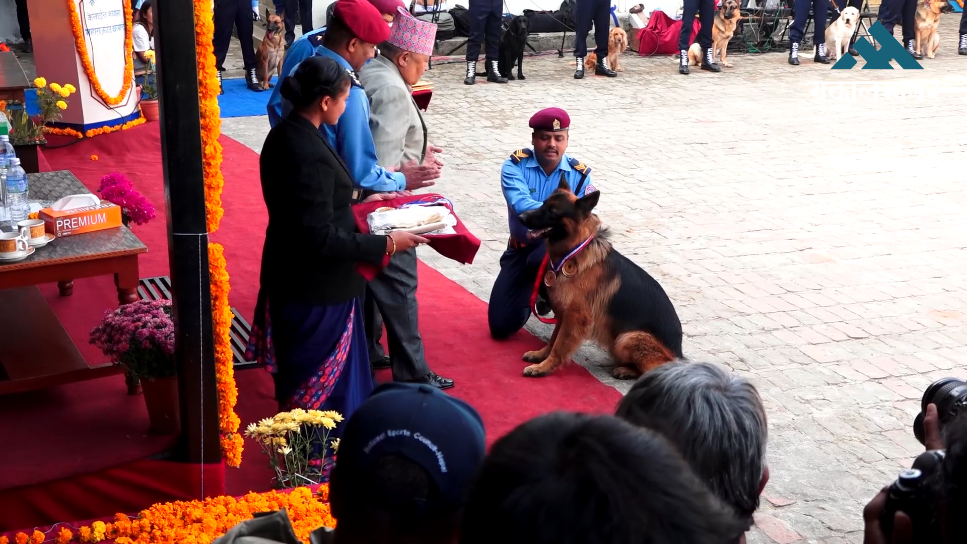 Kartik Krishna Chaturdashi observed by worshipping dog