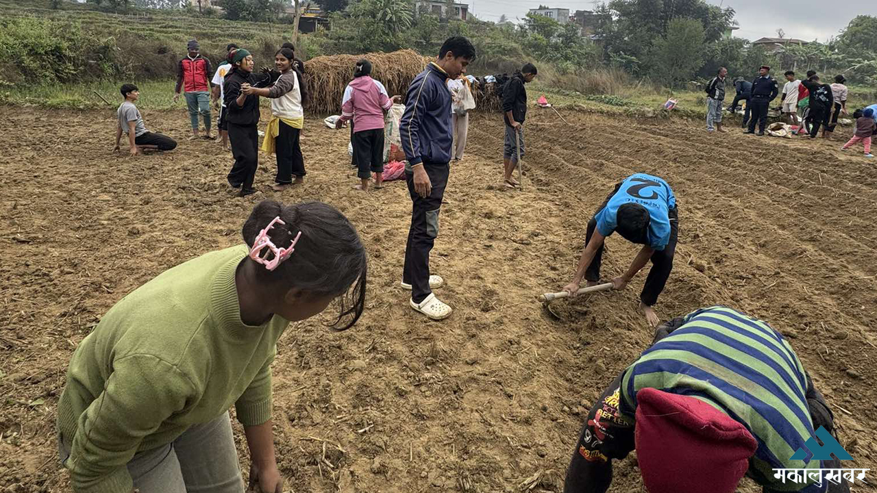 Karmada School hostel students engage in vegetable farming (photos)