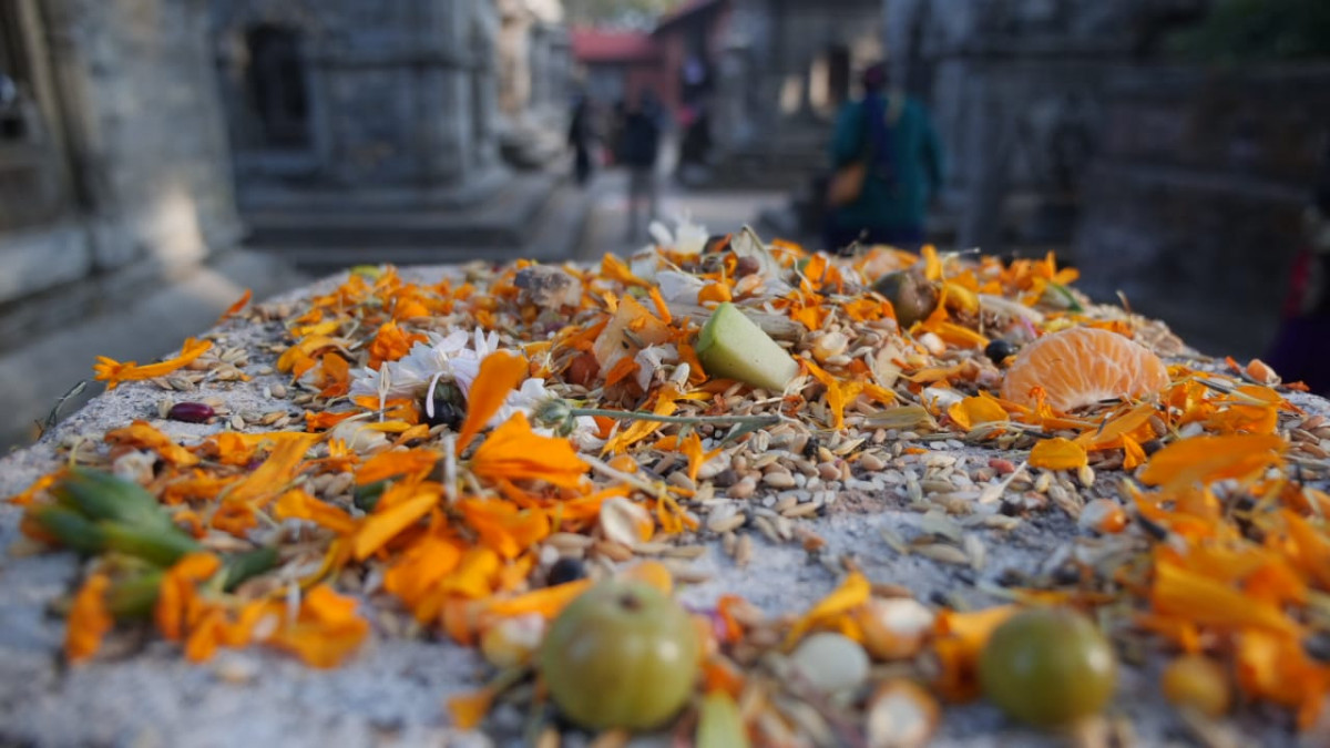 Crowd gathers to scatter satbeej at Pashupatinath Temple (photos)