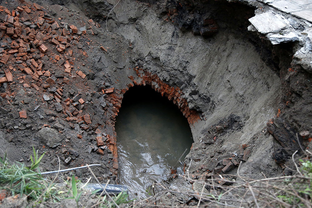 Non-infectious nature of bacteria found in Tukucha River confirmed