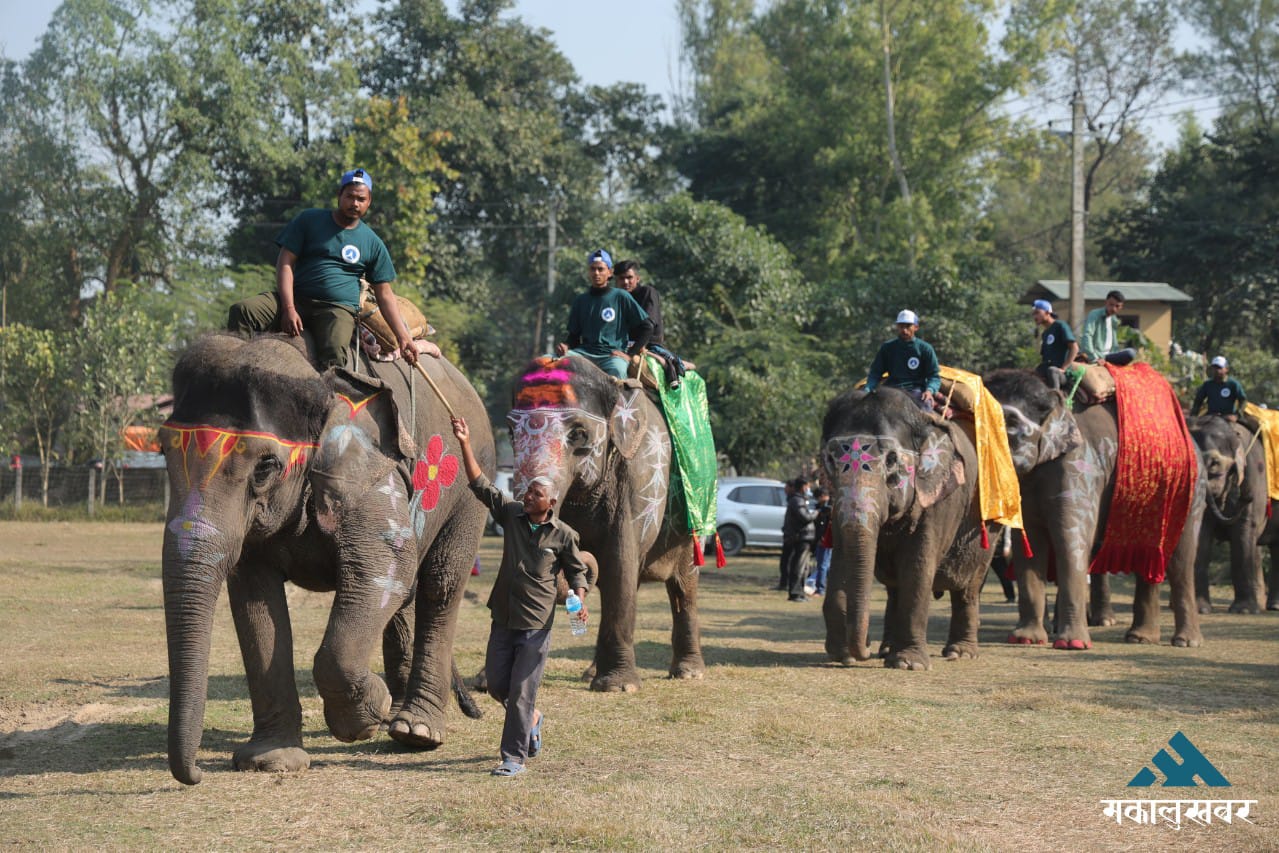 18th Elephant & Tourism Festival begins in Sauraha (photos)