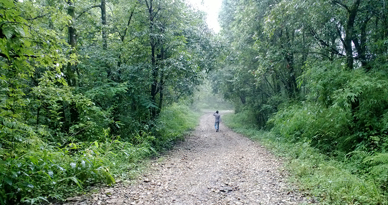 13 youths lost in Lalitpur’s Phulchowki forest found safe