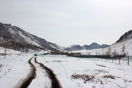 Snow covers over 60 pct of Mongolian territory