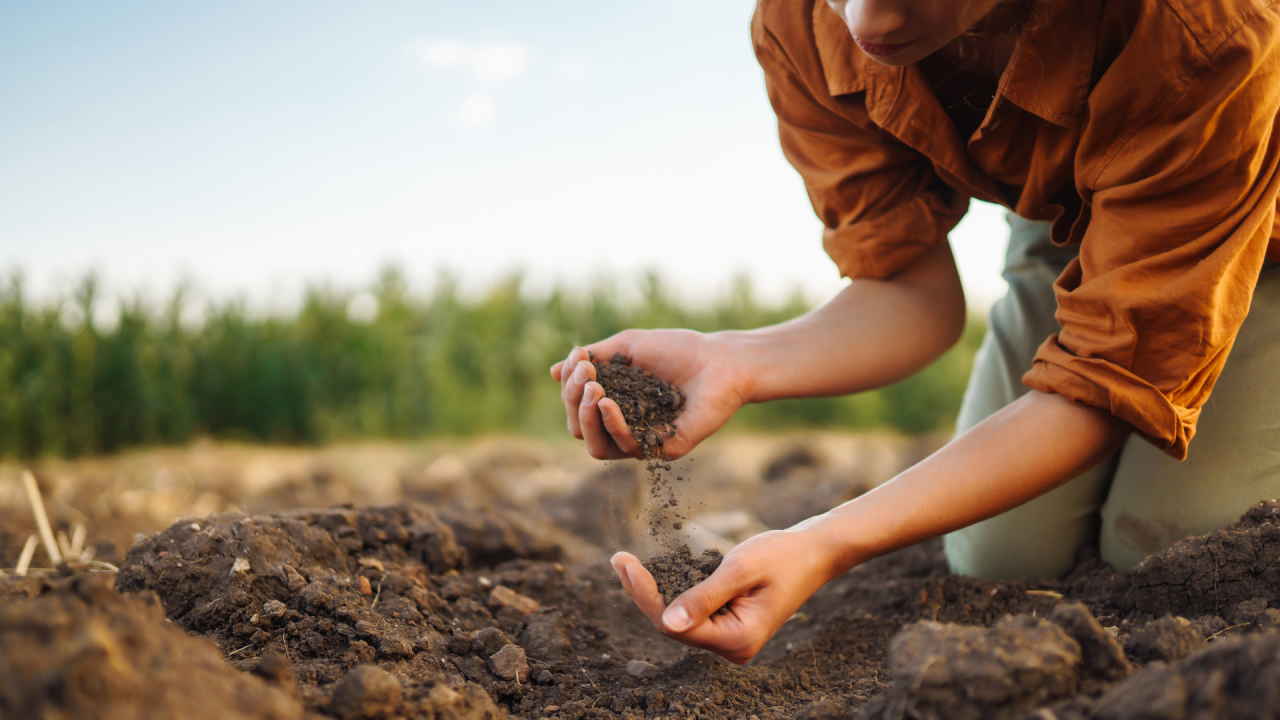 World Soil Day celebrated with various events