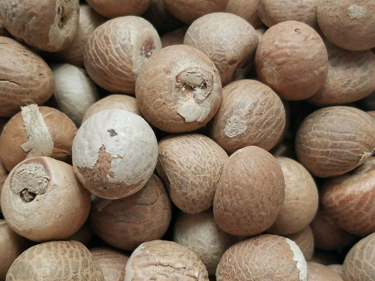 DNA testing uncertainty leaves betel nut export in limbo