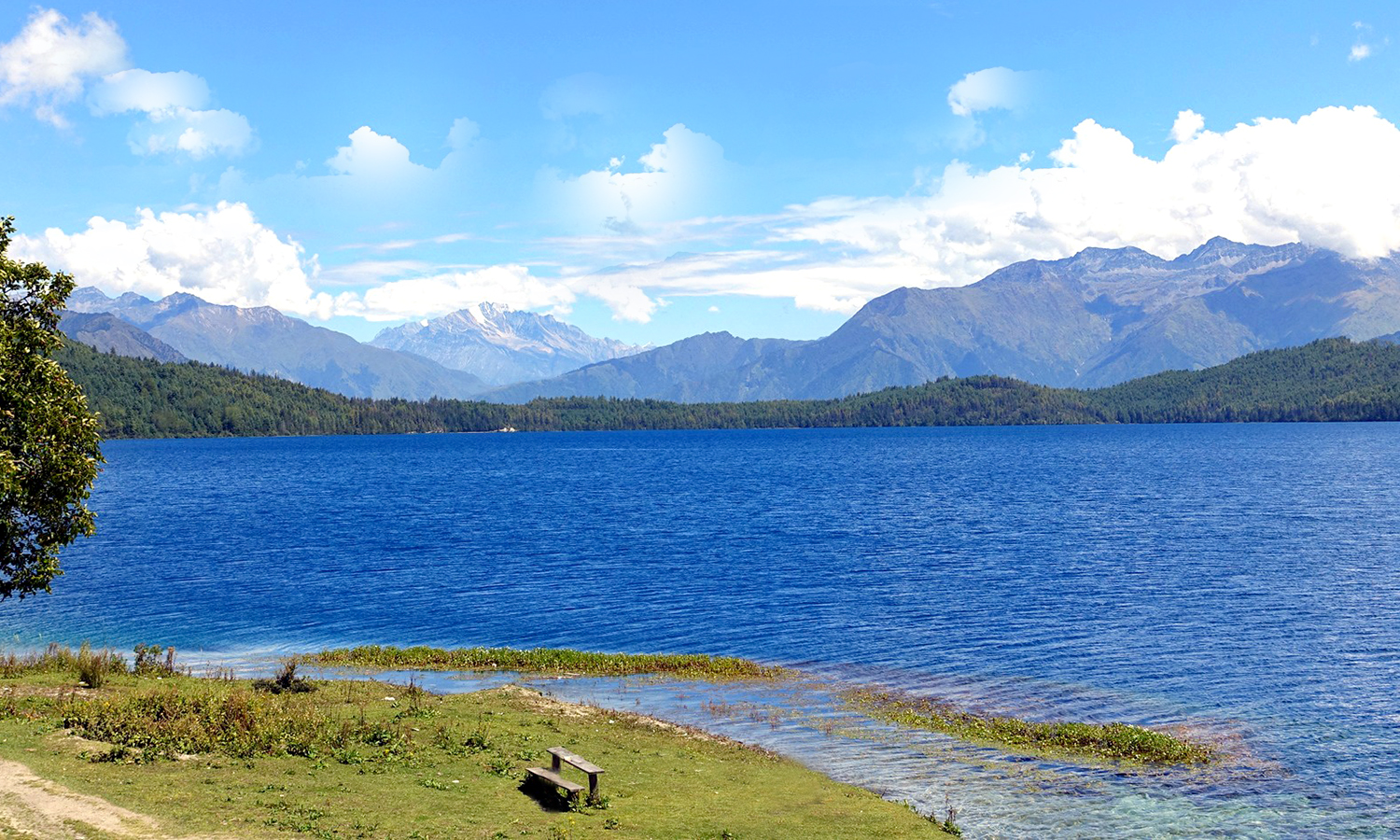 Rara Lake’s natural beauty threatened by encroaching vegetation