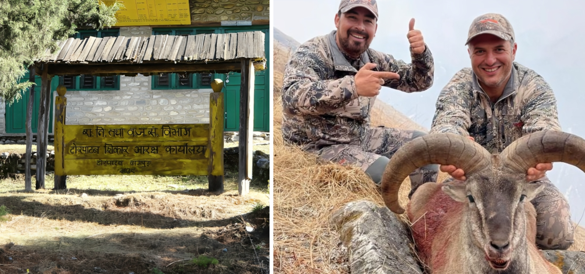 Foreign hunters bag 10 Naurs & 5 Jharals in Dhorpatan’s first hunting season