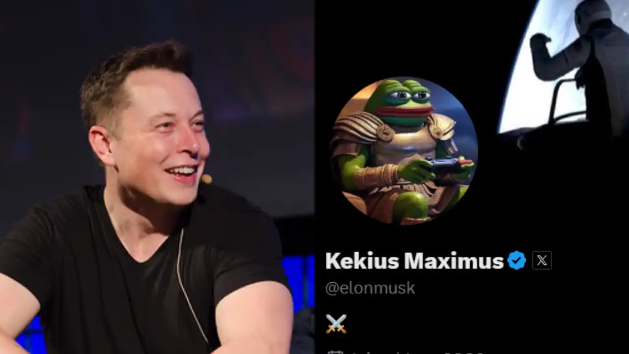 Elon Musk changes his name to Kekius Maximus on X