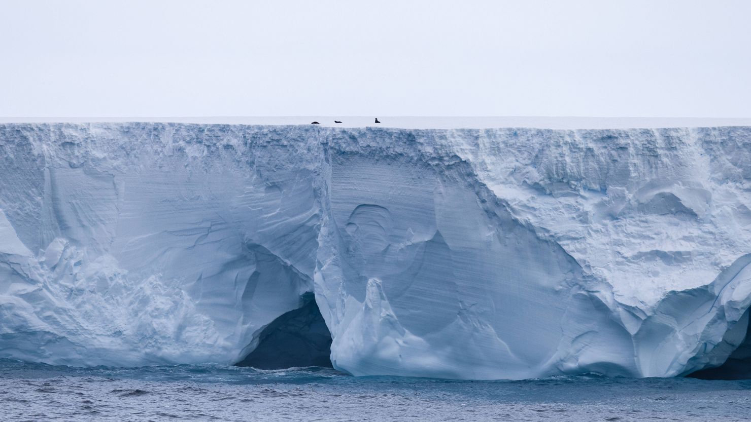 Fears that the world’s biggest iceberg could hit island in the South Atlantic