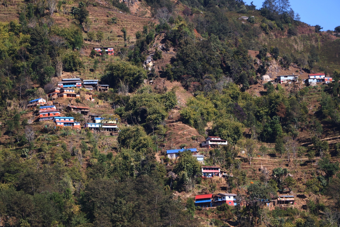 Rural Baglung faces wildlife terror as villages empty out