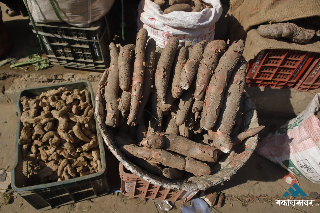 Yams supply surge in Kalimati market as Maghe Sankranti approaches (photos)