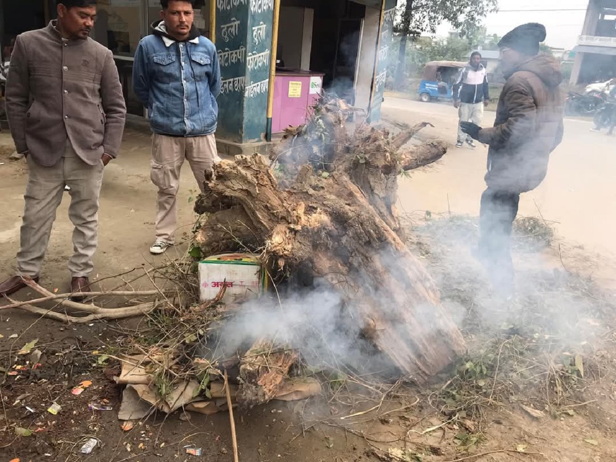 Firewood distribution begins in Tikapur as cold intensifies