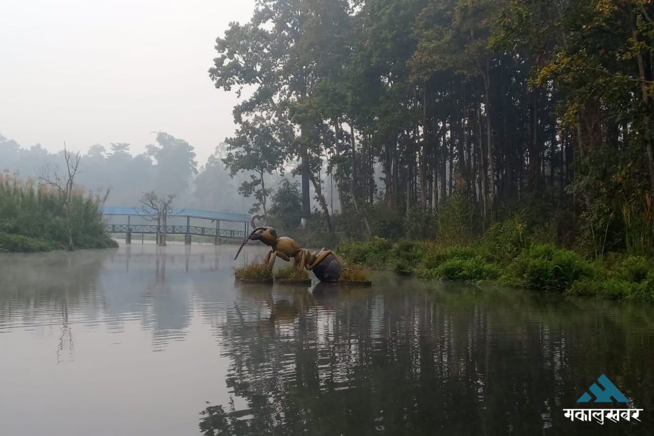 In pics: Beauty of Betana Wetland