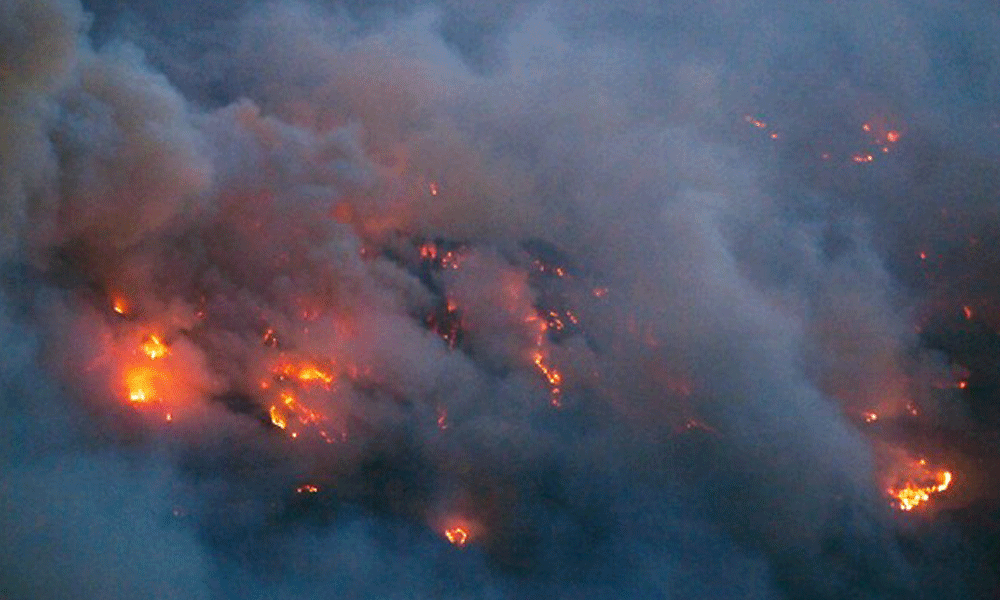 Japan forest fire burns buildings, prompts evacuations