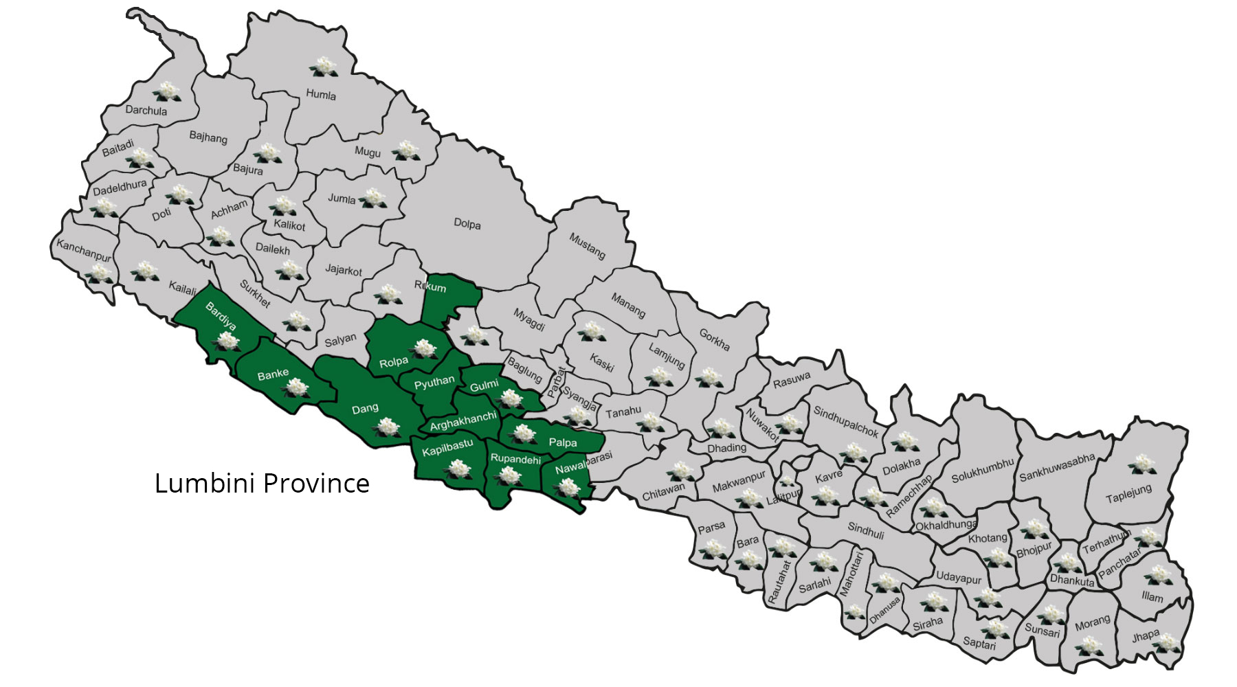 Lumbini Province reports 22 per cent capital expenditure & 28 per cent current expenditure