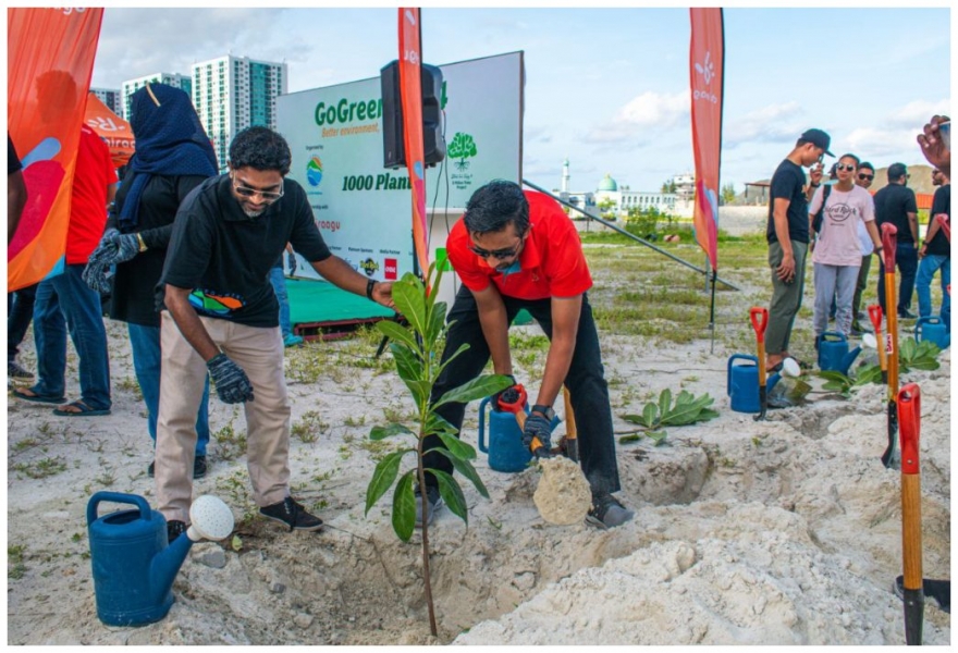 Maldives aims to plant 2 million trees in 2025