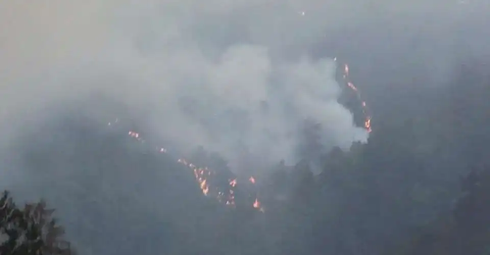 Forest fire in Japan’s Iwate continues for 6th day