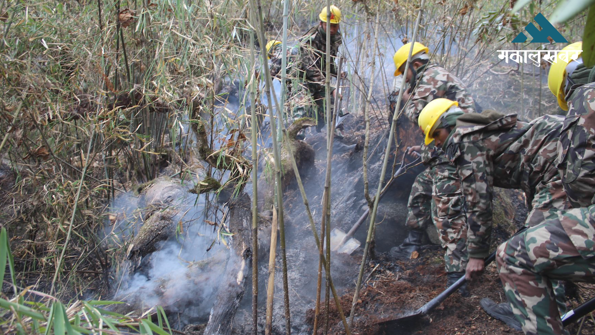 Forest fire in Timang jungle rages uncontrolled for 10 days