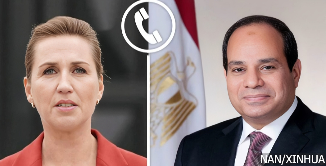 Egyptian President & Danish PM discuss Gaza reconstruction, ceasefire, and Palestinian rights