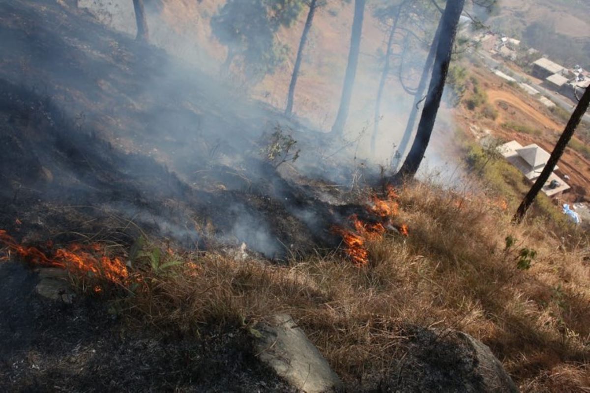 Forest fire in Haatiban, Dakshinkali, remains uncontrolled (photos)