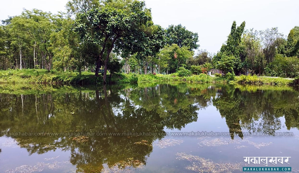 World Wetlands Day being observed today