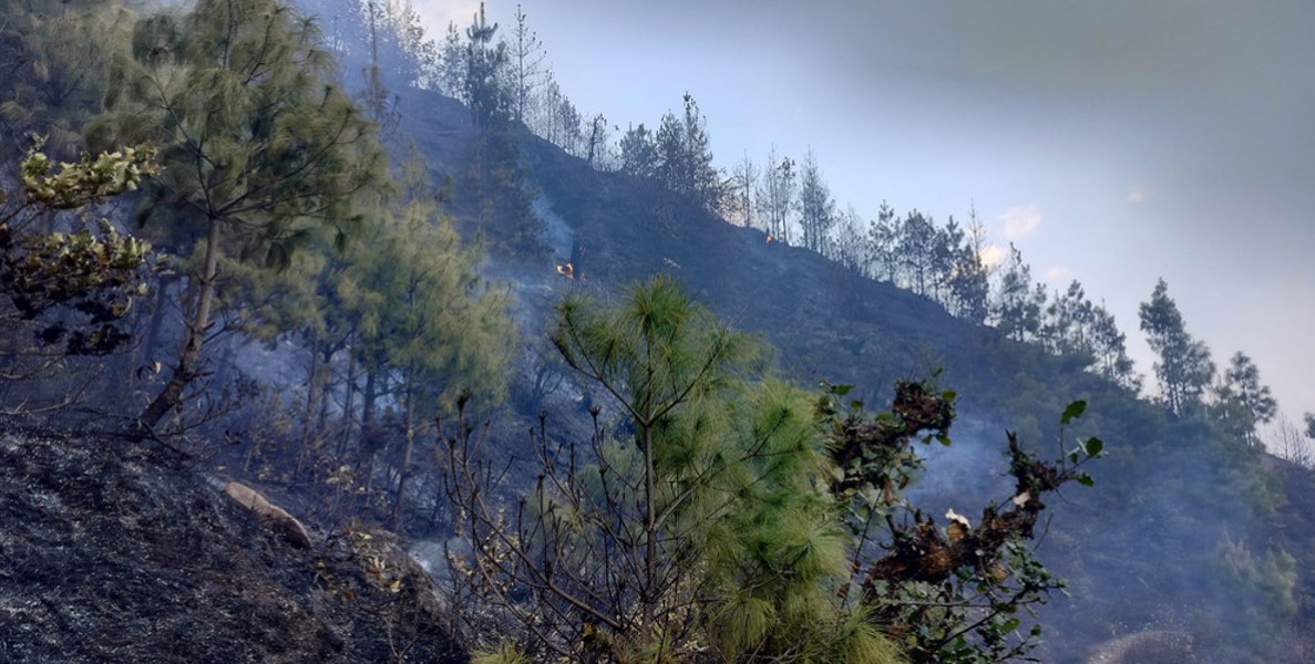 Gorakhnath Community Forest fire spreads to Chisapani Community Forest