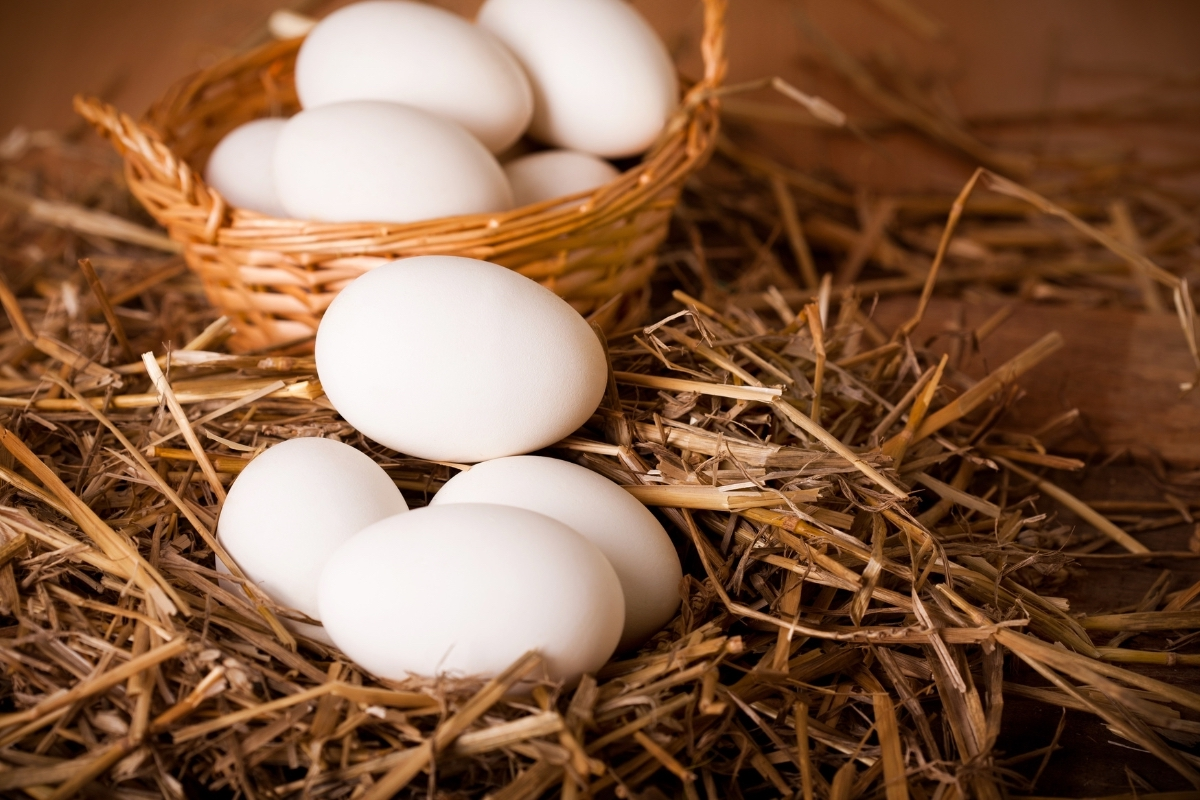 APF intensifies crackdown on illegal egg imports from India