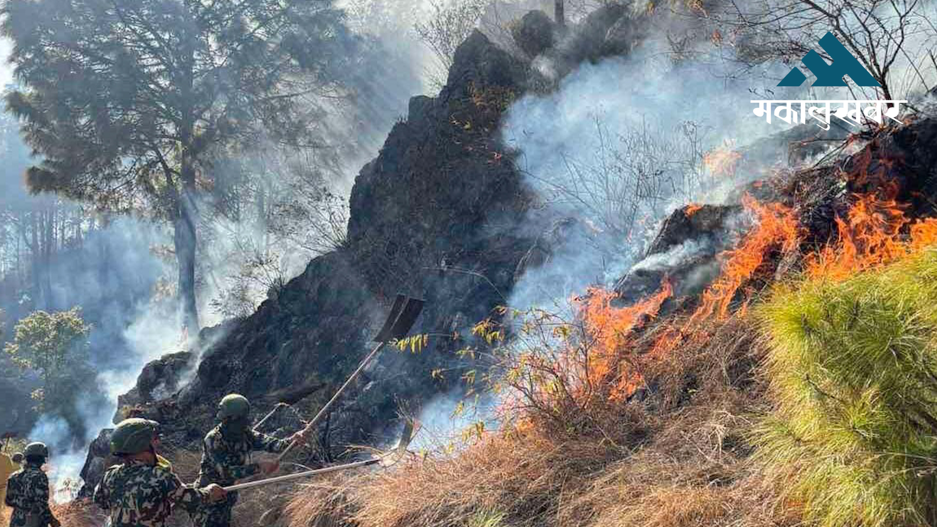 Fire on Mount Sansarkot in uncontrolled