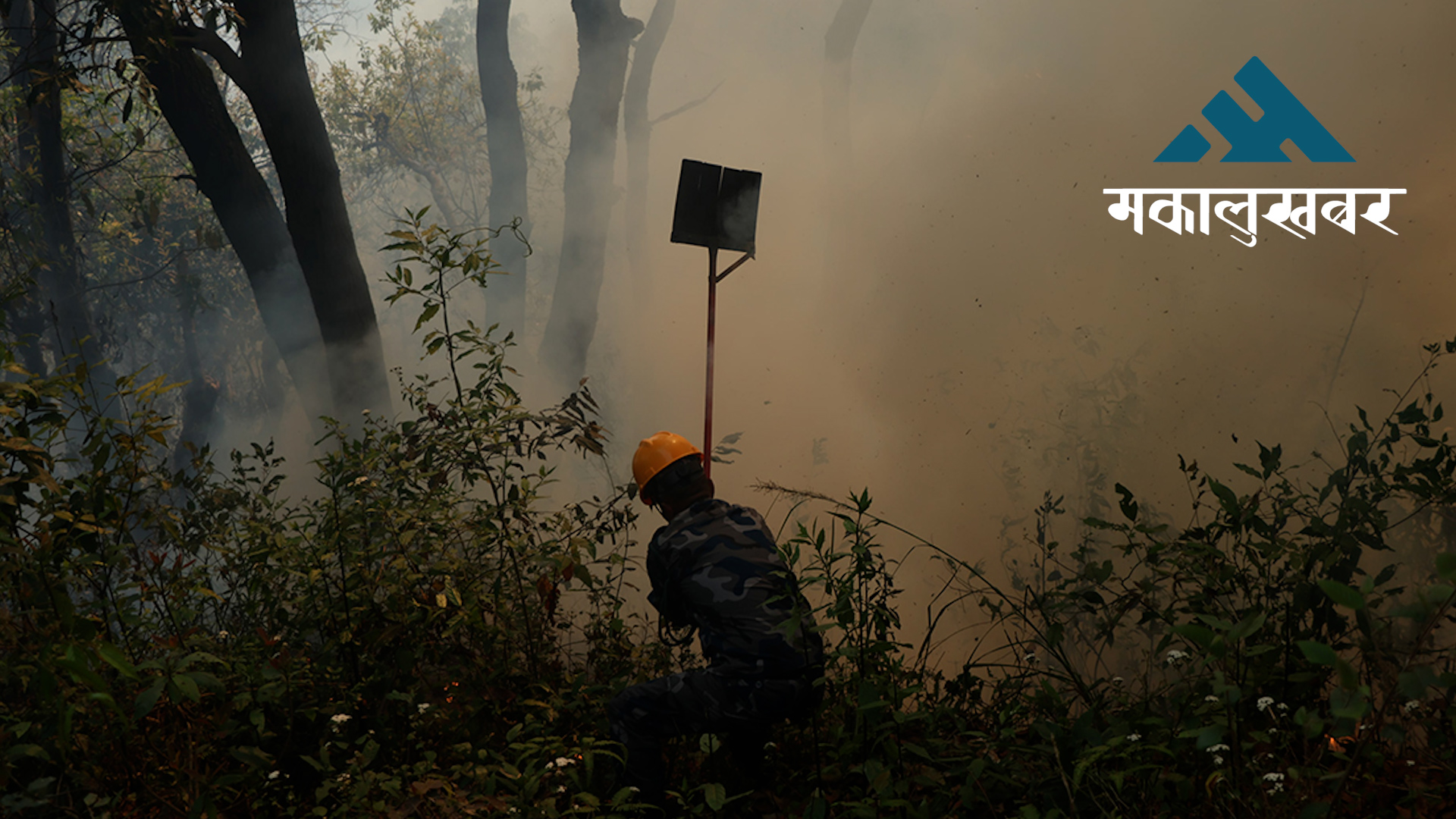 Massive fire engulfs forest of Chandragiri