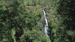 Woman dies after falling down waterfall in eastern Australia