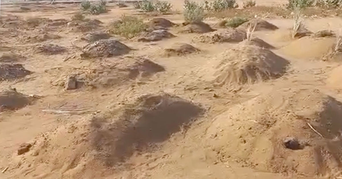 Sudanese army says mass graves discovered in Khartoum State