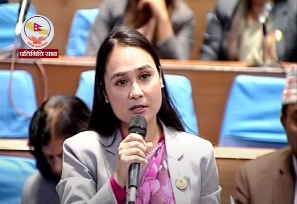 Govt wasting time on power games, not public issues: RSP Whip Dangi
