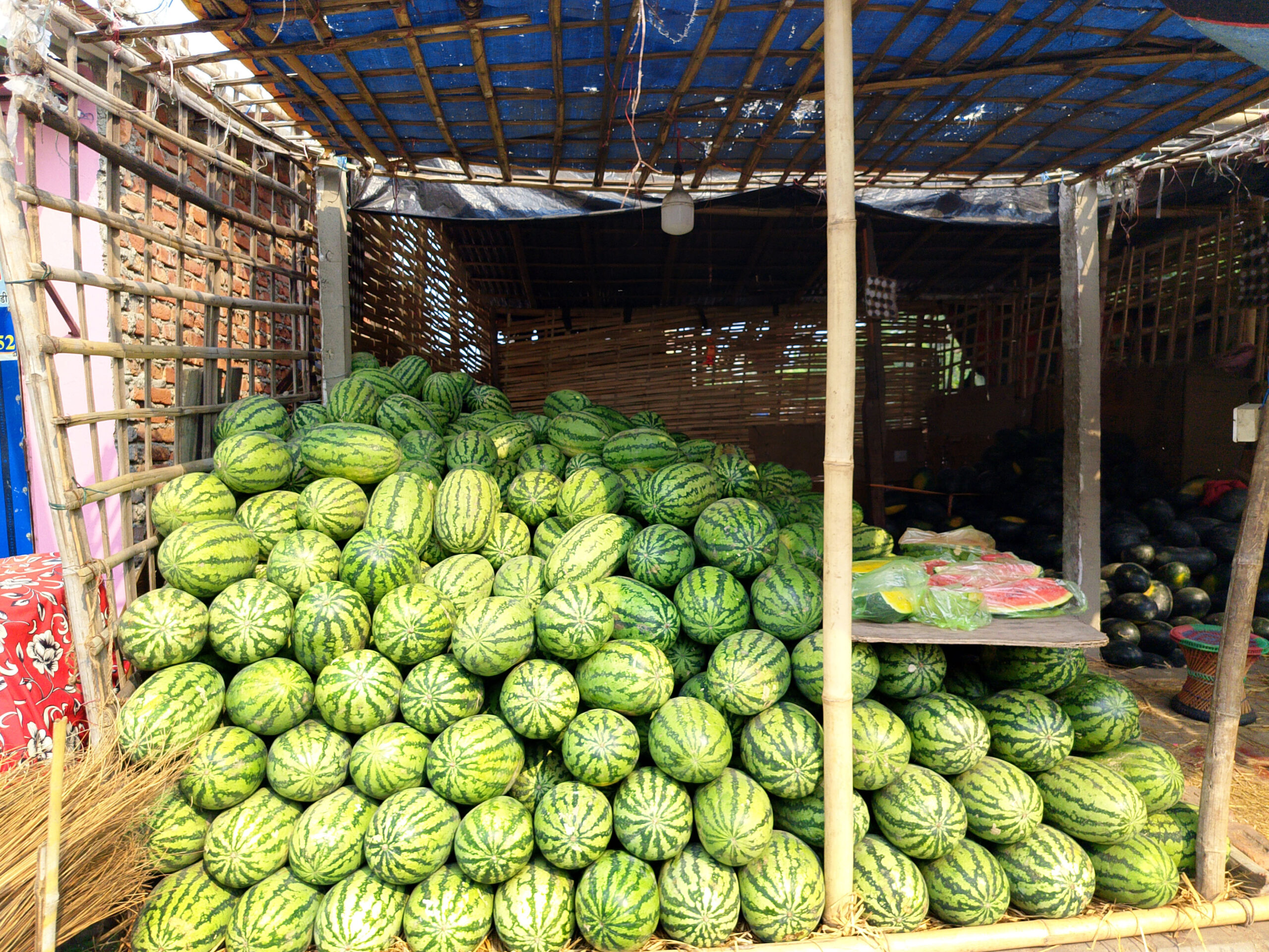Watermelon – Summer’s superfruit with surprising benefits