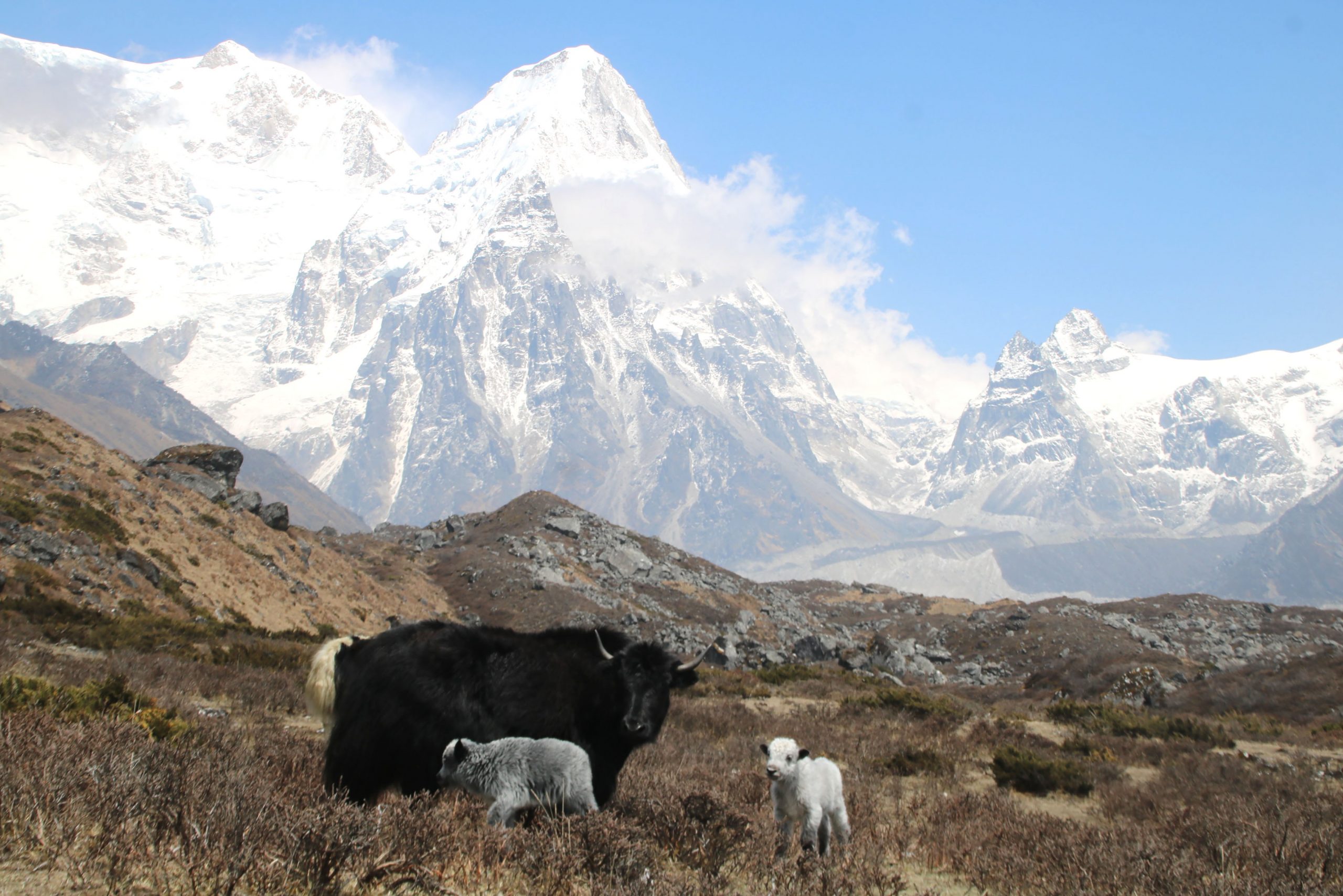 French climber dies during Kanchenjunga Ascent