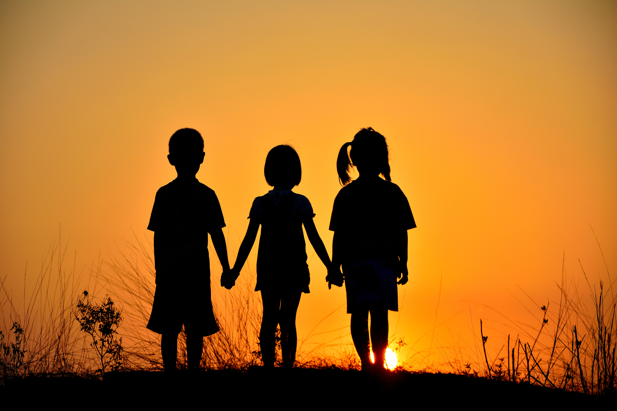 Power of friendship: A timeless bond that heals, uplifts, and endures