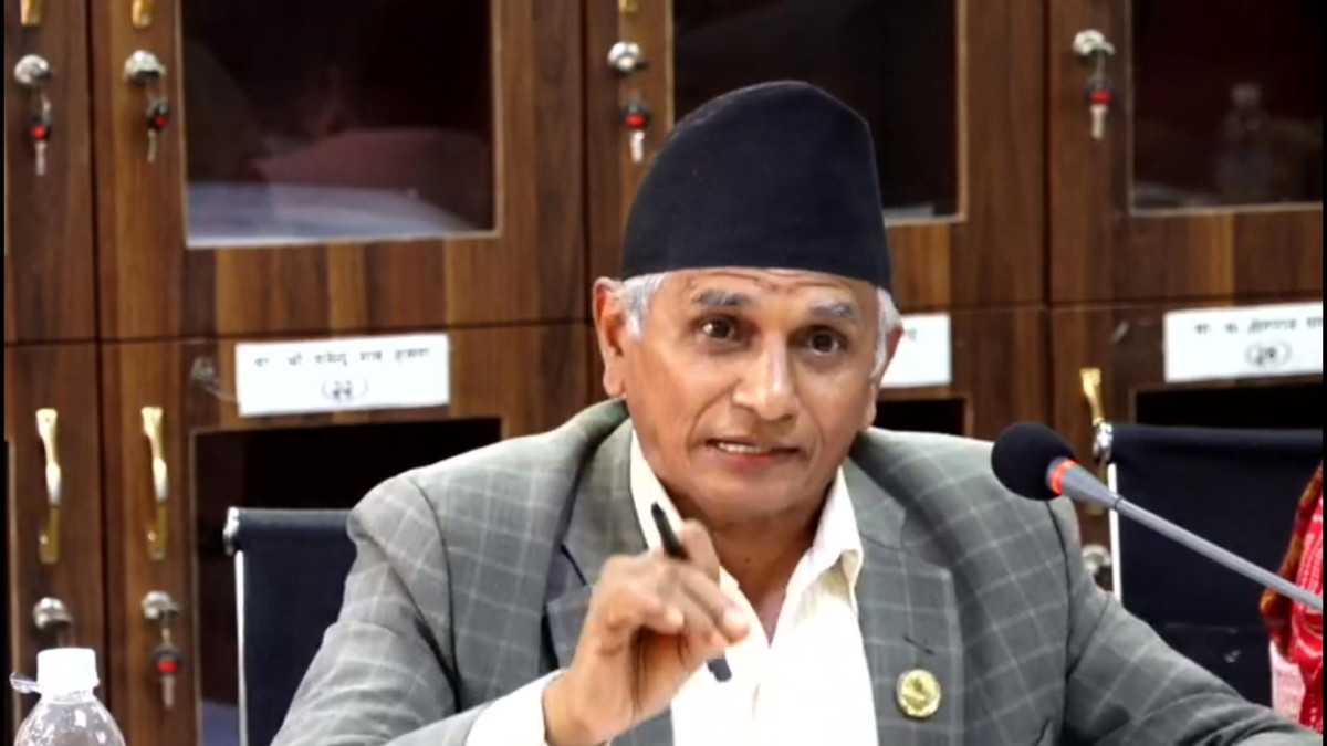 Chief Whip Pandey blames government for bill delays