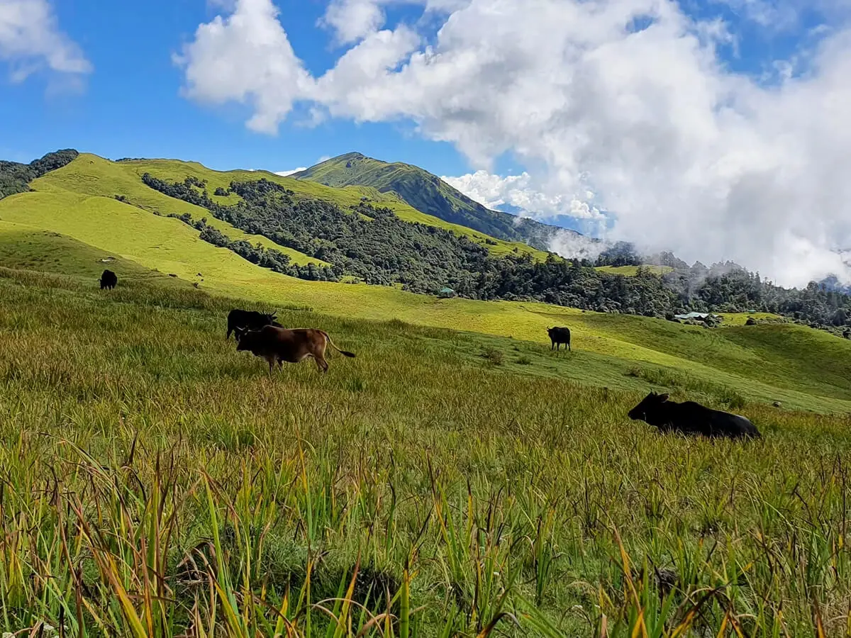 Mundum trail race to promote trekking route