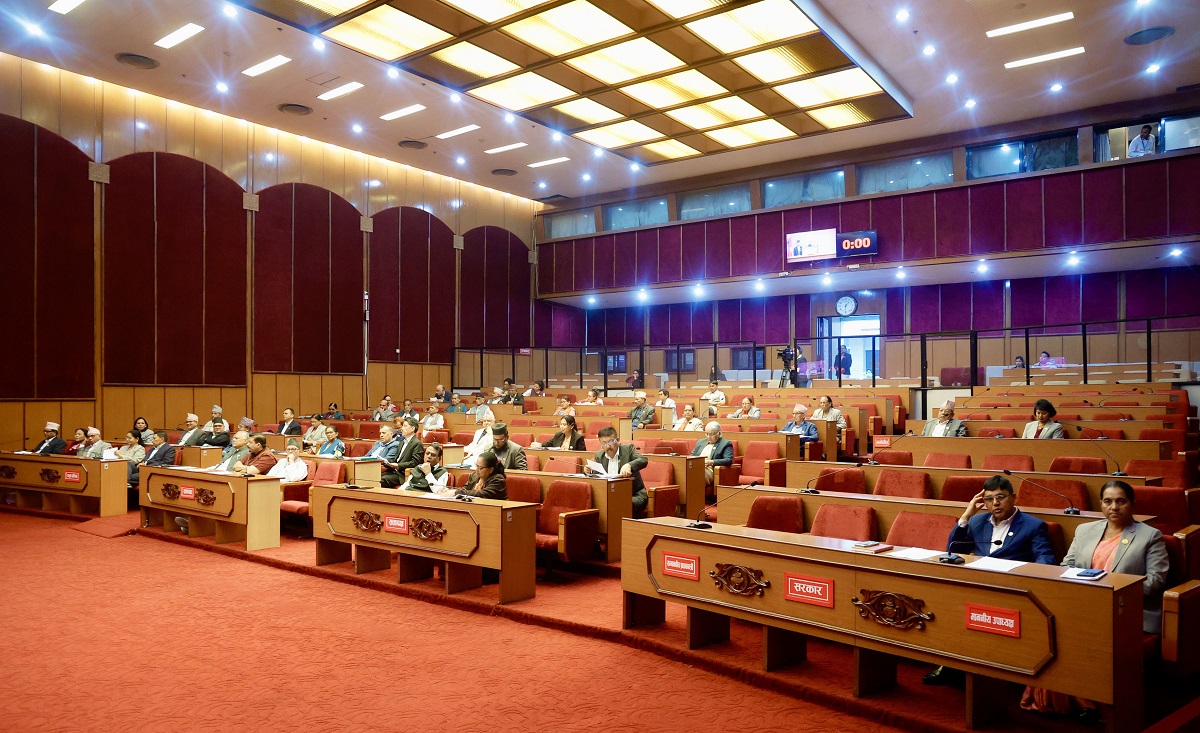Lawmakers urrge action on Foreign Job scams, snakebites, and delayed projects