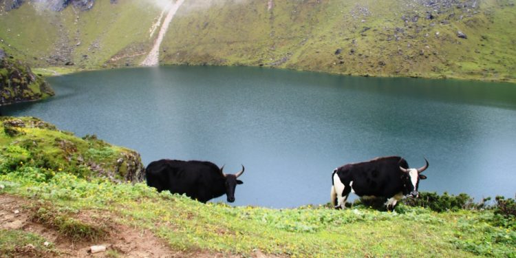 Chyo Thangi Chyo Pokhari in Taplejung emerging as popular tourist spot