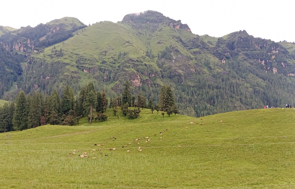 Dhimichour of Jumla turning attractive tourism destination