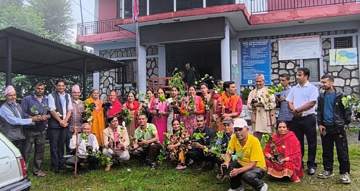 Pokhara Metropolitan promotes black pepper farming