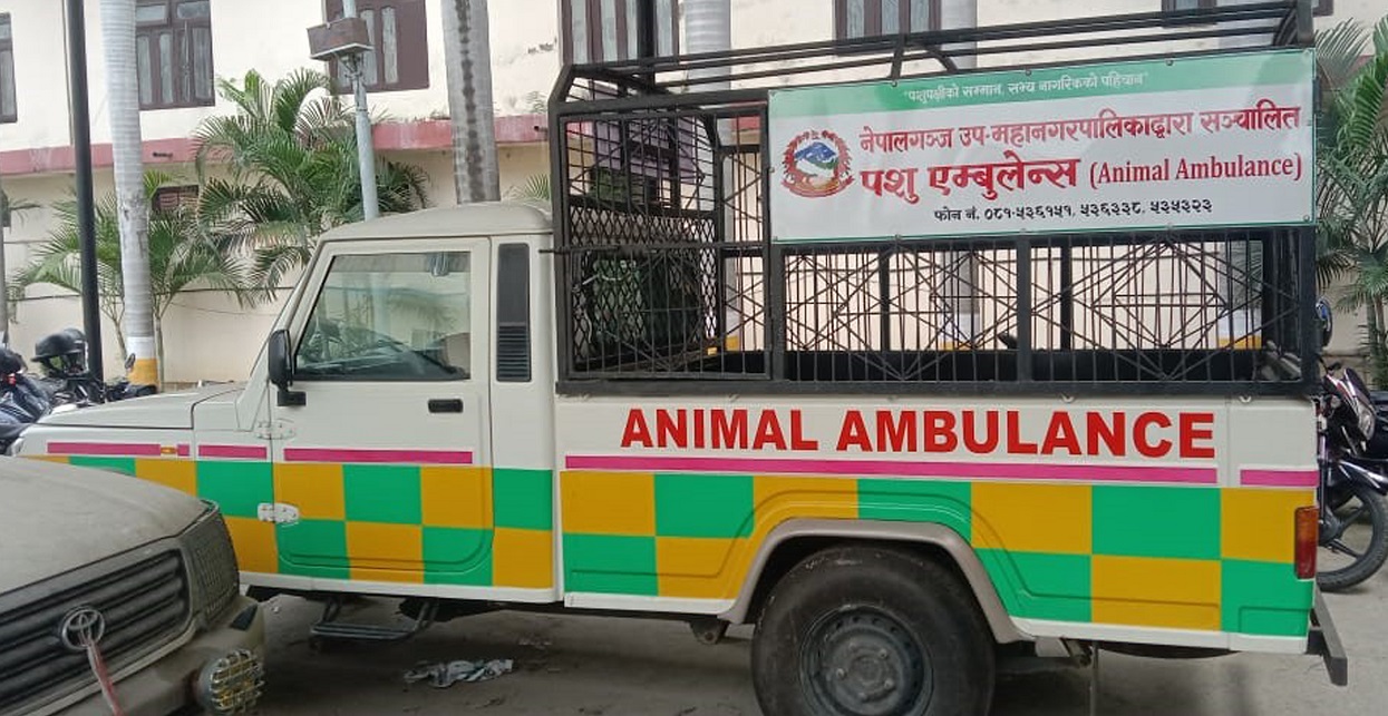 Nepalgunj launches ‘Animal Ambulance’ for stray & injured animals