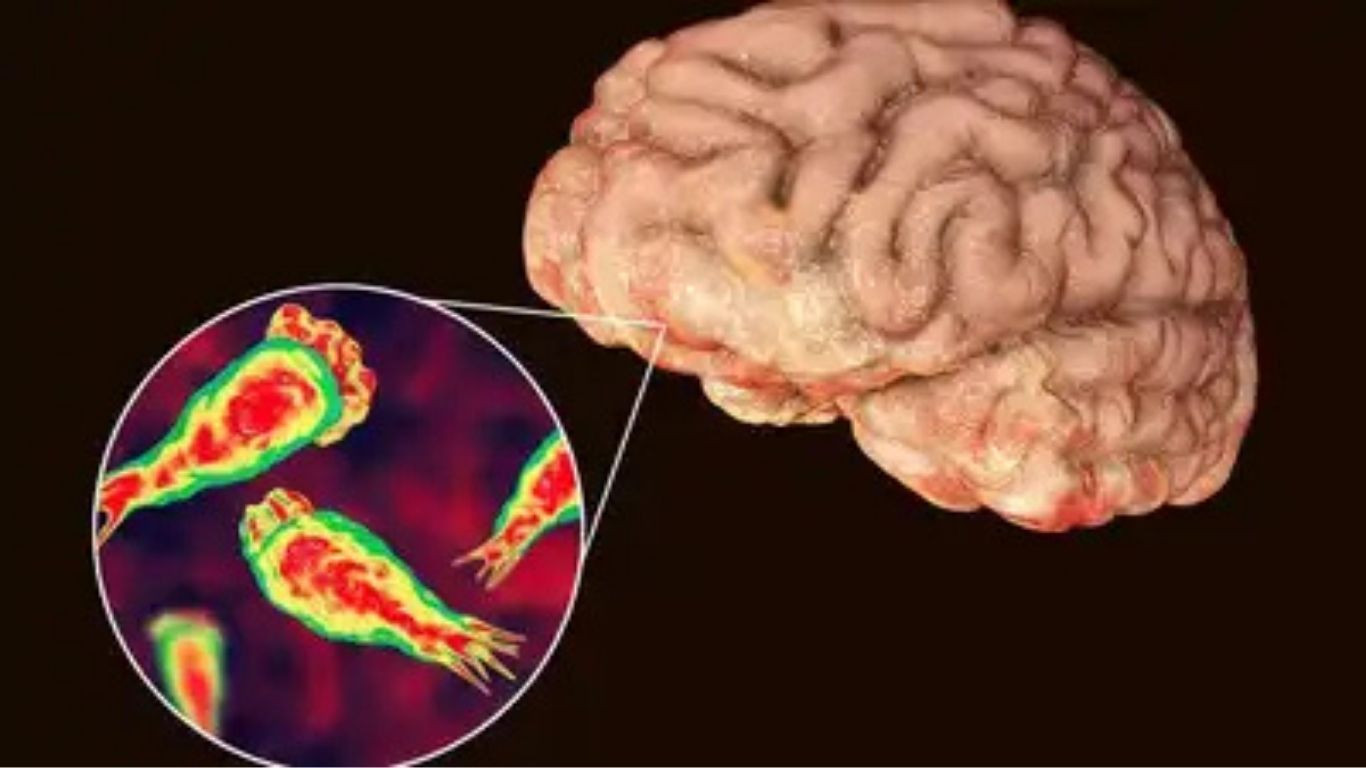 India health alert after ‘brain-eating’ amoeba rise