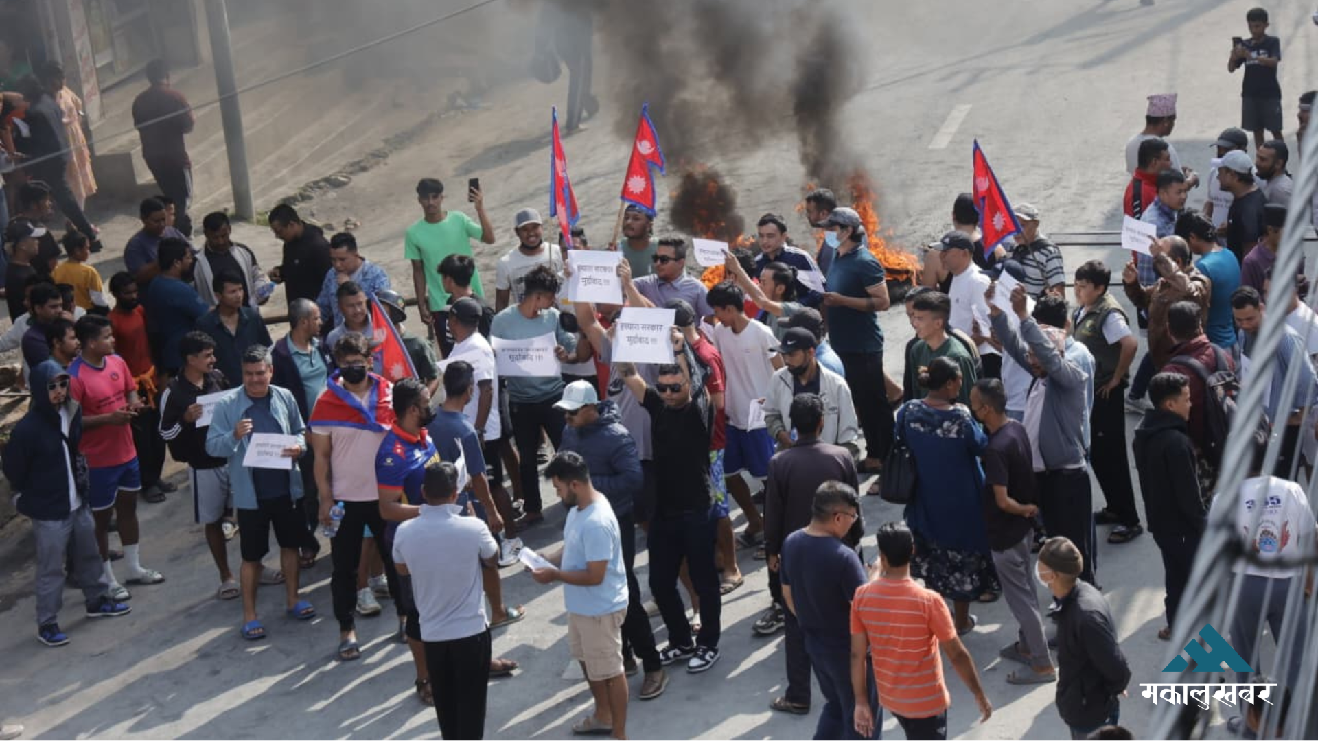 IPPAN condemns violence on Gen Z protesters, urges govt accountability