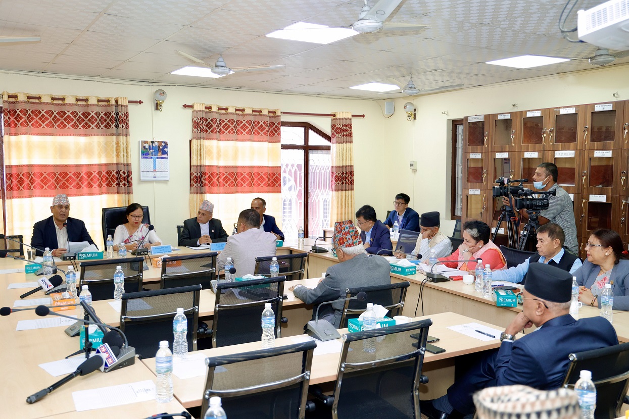 Parliamentary Committee urged to expedite bills, learn from past mistakes