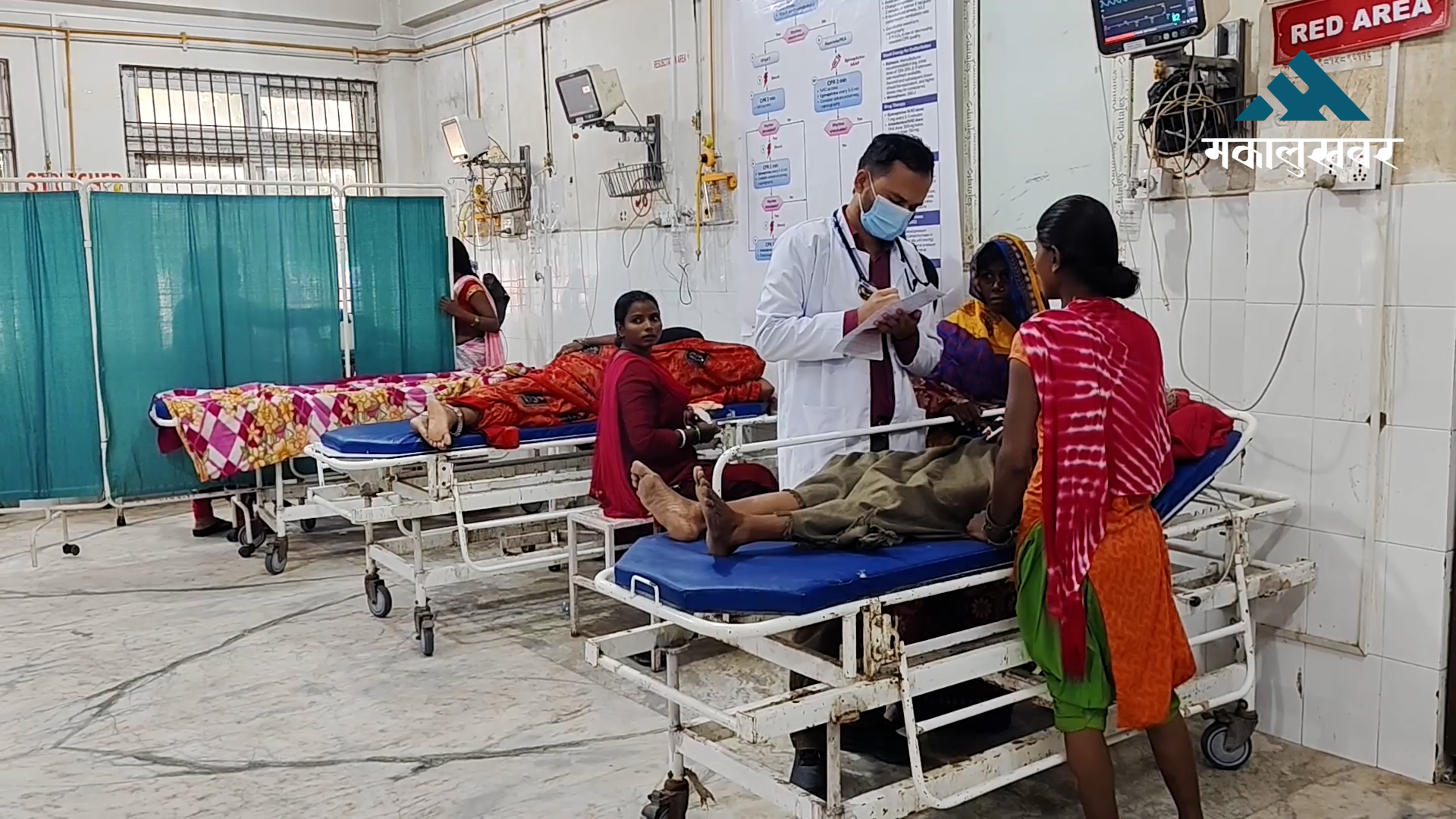 Snakebite cases rising in Terai–Madhesh districts