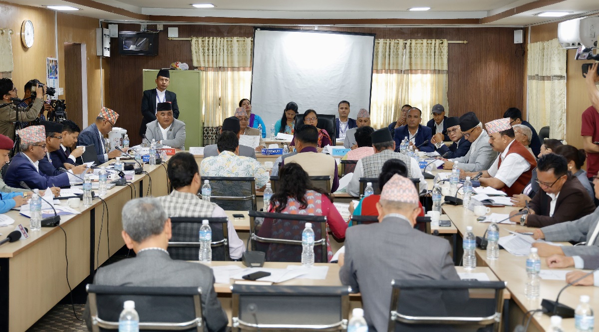 State Affairs Committee meet puts off