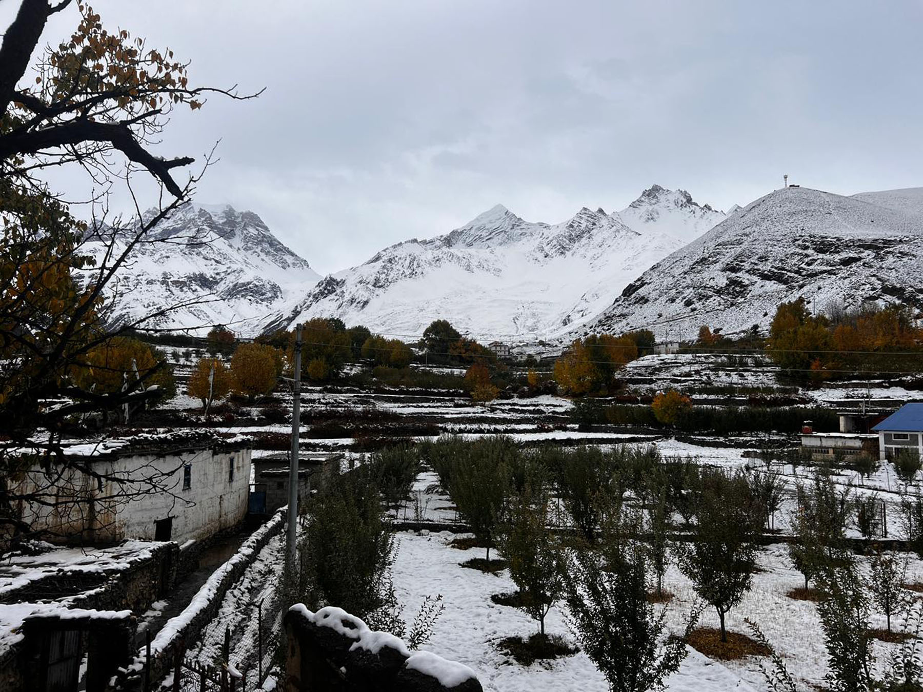 15 tourists, including 3 Britons, rescued from Mustang
