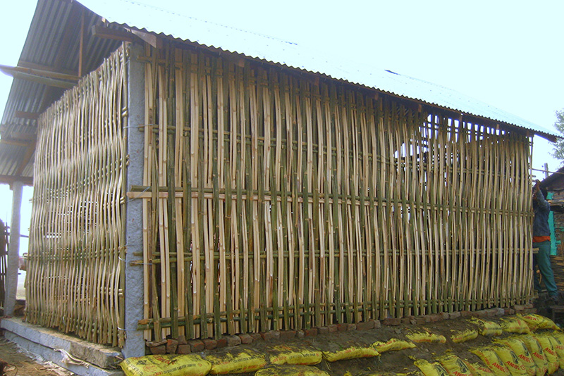 Govt first time issues guidelines on construction of bamboo structures