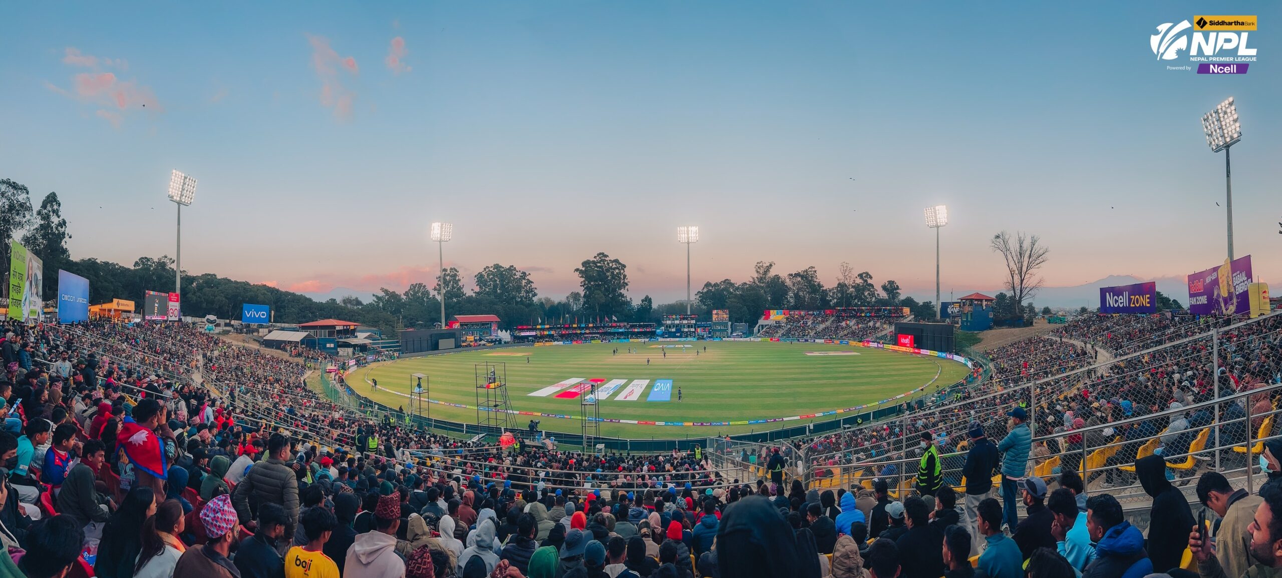 T20 World Cup: NPL stars to shine